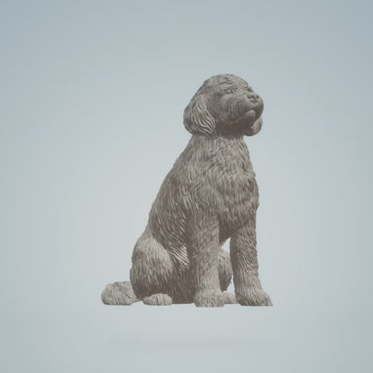 Old English sheepdog (Sitting) | Stereocat