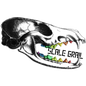 African Forest Elephant - Skull Replica miniature animal skulls by The Scale Grail