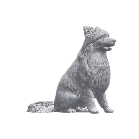 Spitz mix breed long haired dog | Stereocat