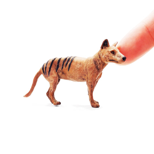 Tasmanian Tiger - Thylacine - Scale miniature for diorama by Limelight Miniatures