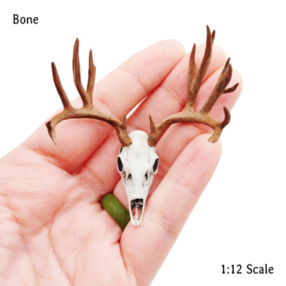 Handpainted mule deer skull in 1:12 scale