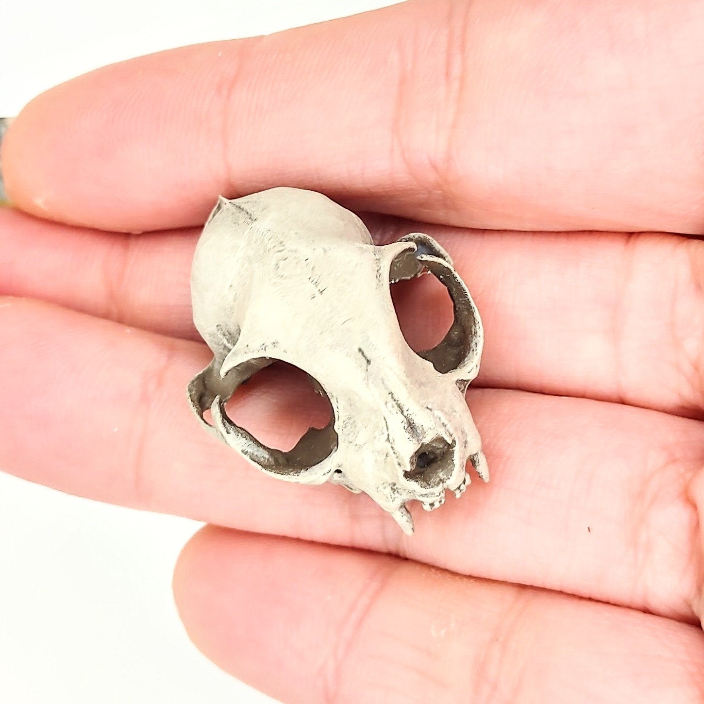 Cat skulls hand painted in 1:12 scale.