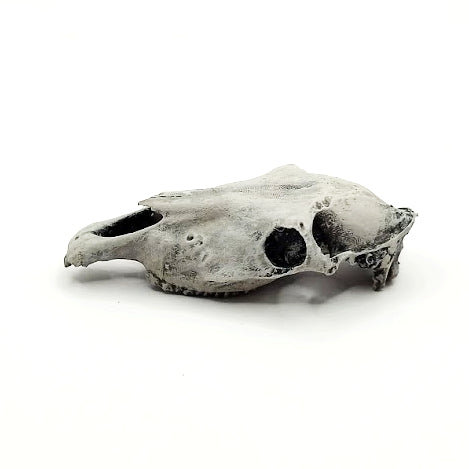 Horse skull cranium handpainted.
