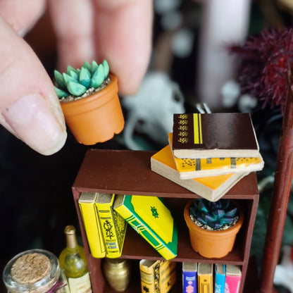 Succulents in Terracotta Pot