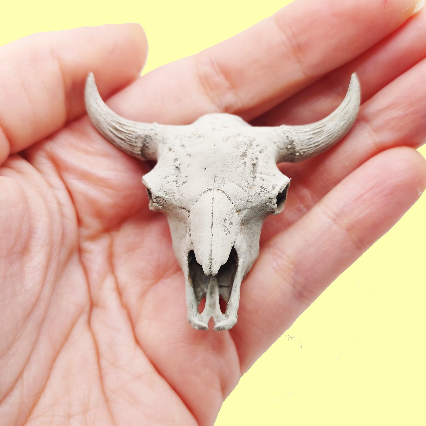 American Bison Skull Replica- 1:12 scale size for desert diorama, western dollhouse, arts and crafts, miniature oddities (1 skull)