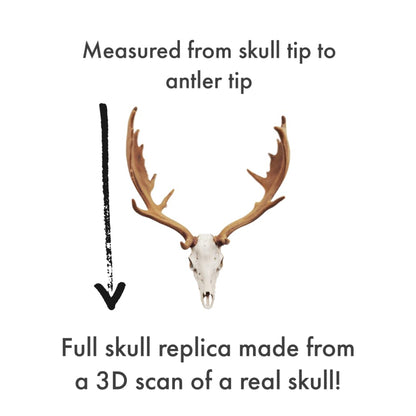 Fallow Deer Skull, deer wedding cake toppers, decor, favors, cupcake toppers, miniature deer skull for crafts The Scale Grail