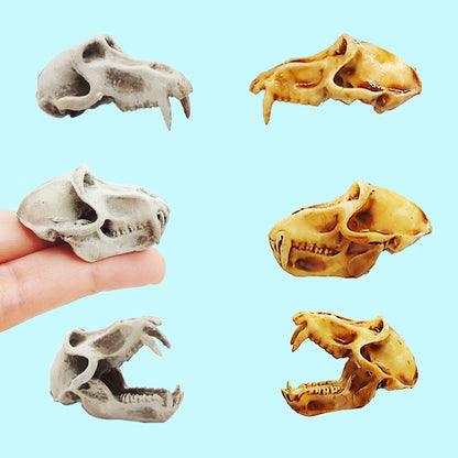 Baboon Skull Replica, Miniature Primate Skull for 1:6 scale dioramas, horror scenes, terrariums. Fun action figure accessories (1 skull)