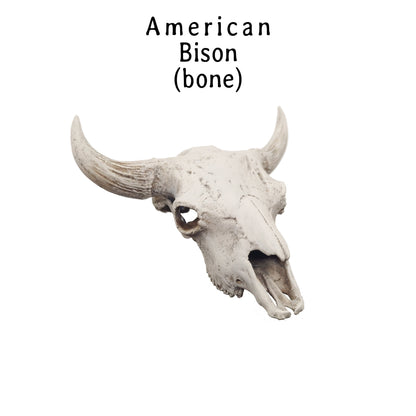 American Bison Skull Replica- 1:12 scale size for desert diorama, western dollhouse, arts and crafts, miniature oddities (1 skull)
