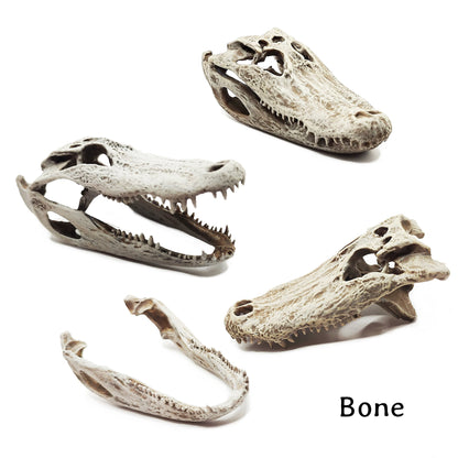 Alligator Skull Replica - Miniature Animal Skull 1:6 Scale Reptile Skull for diorama, dollhouse, curio cabinet, hand painted (1 skull)