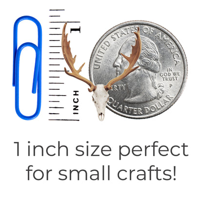 Fallow Deer Skull, deer wedding cake toppers, decor, favors, cupcake toppers, miniature deer skull for crafts The Scale Grail