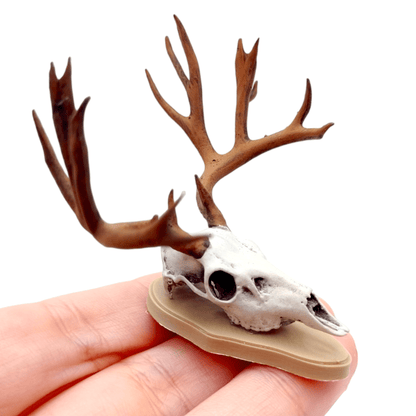 Miniature mule deer skull mounted on wood pla and painted in bone.