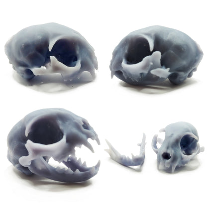 1:6 Gray Cat Skull Miniature Collage