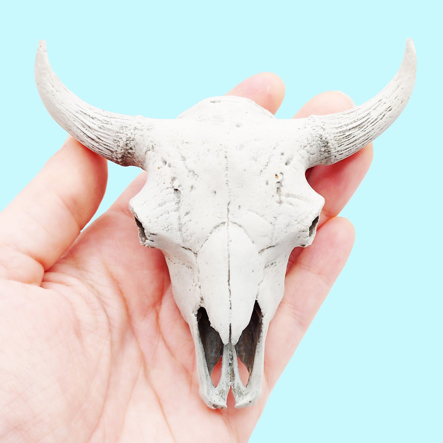 American Bison Skull Replica- 1:6 scale size for home desert decoration, curio cabinet, arts and crafts, miniature oddities (1 skull)