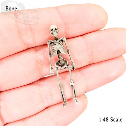 Human Skeleton - 1:48 scale miniature for horror diorama, dollhouse, tabletop arts and crafts, replica curiosities oddities (1 skeleton)