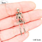 Human Skeleton - 1:48 scale miniature for horror diorama, dollhouse, tabletop arts and crafts, replica curiosities oddities (1 skeleton)