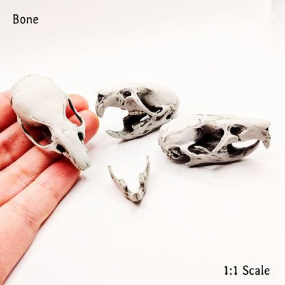 Brown Rat Skull - 1:1 Scale full size replica rodent cranium curiosities and oddities, bone skeleton collector gift and decoration (1 skull)