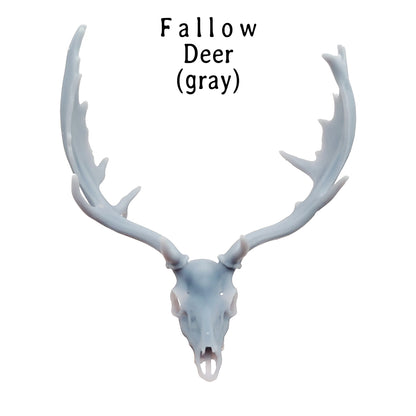 Fallow Deer Replica Skull