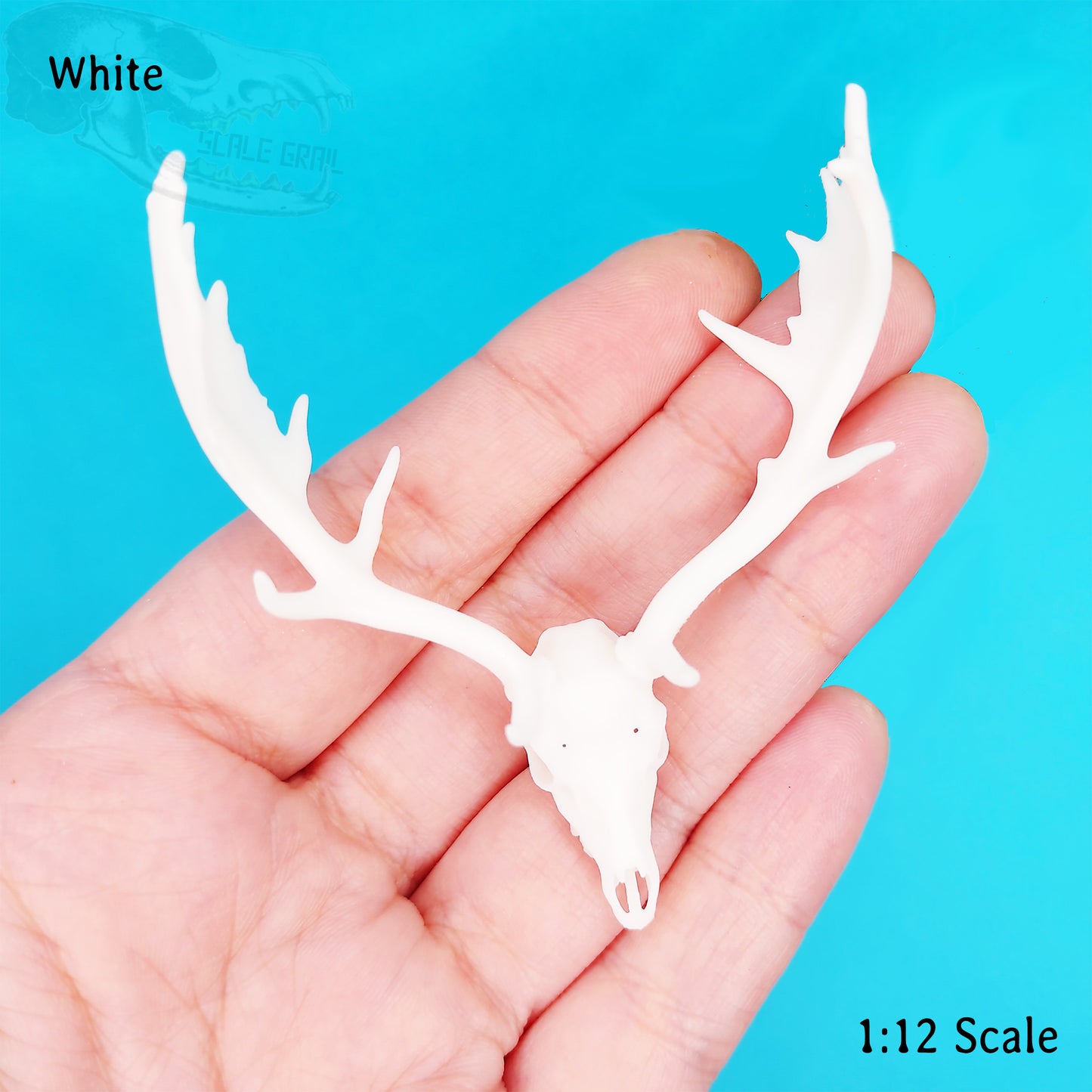 Miniature Deer Skull: Fallow Deer 1:12 Scale Replica dollhouse and diorama miniature