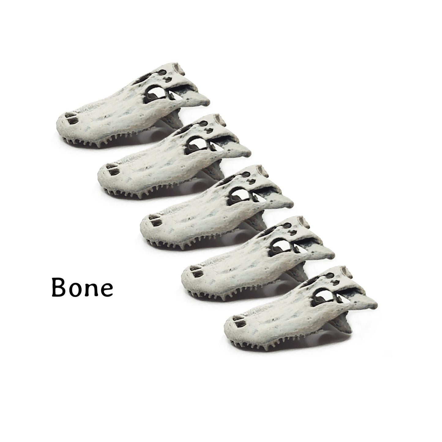 Alligator Skull - 1:12 scale (5 skulls)