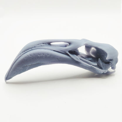 photo of a flamingo skull in grey in 1:2 scale