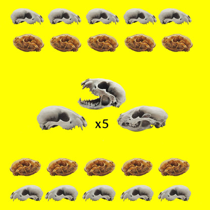 il fullxfull ro jpg