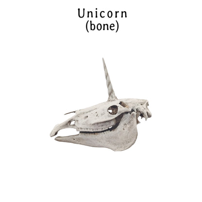 Unicorn Skull Replica