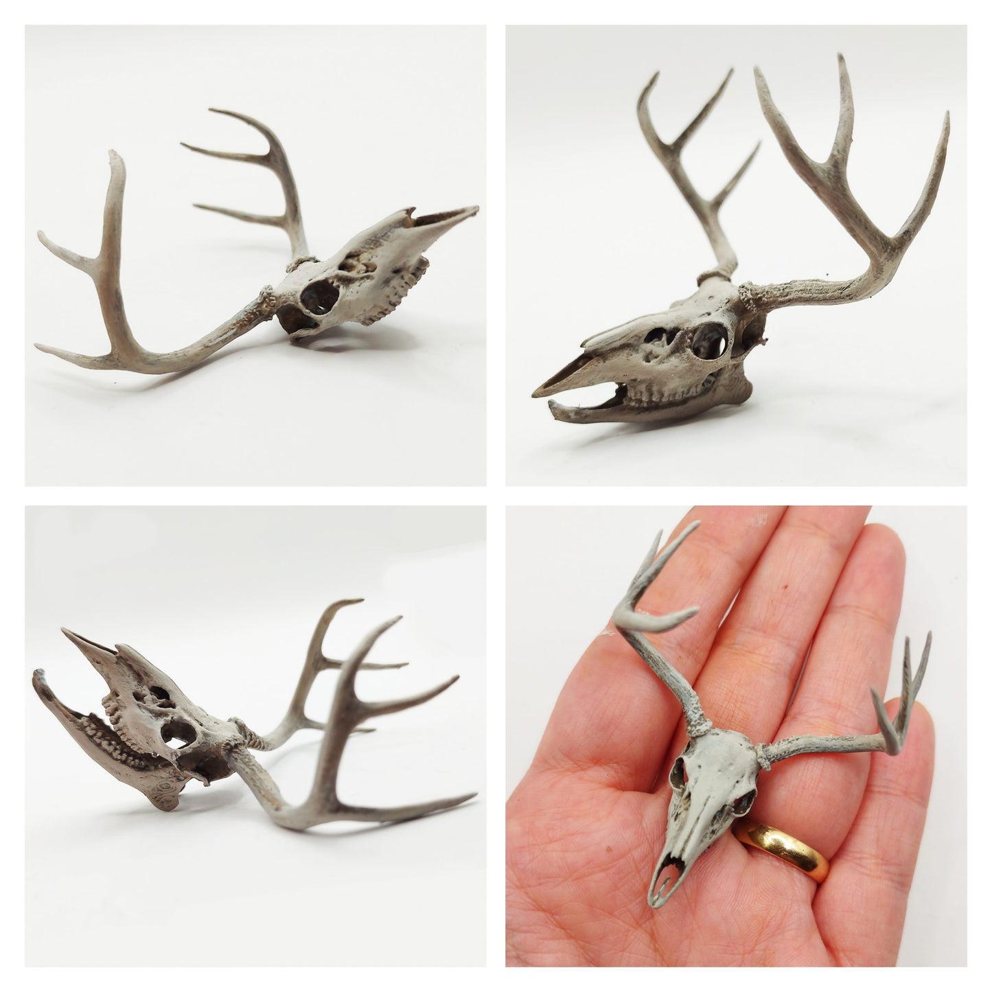 White Tailed Deer Replica in Bone